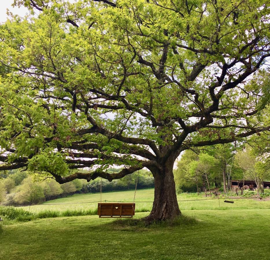 Domaine Le Rianon Villa Malleret-Boussac Buitenkant foto