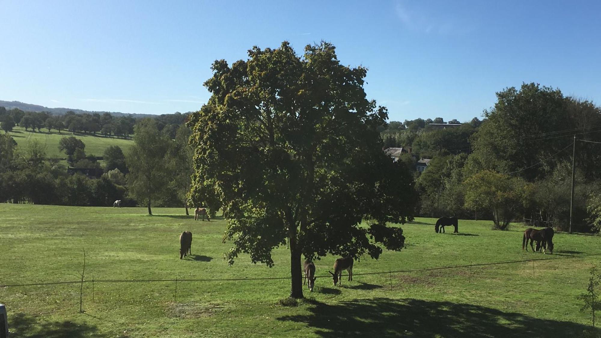 Domaine Le Rianon Villa Malleret-Boussac Buitenkant foto