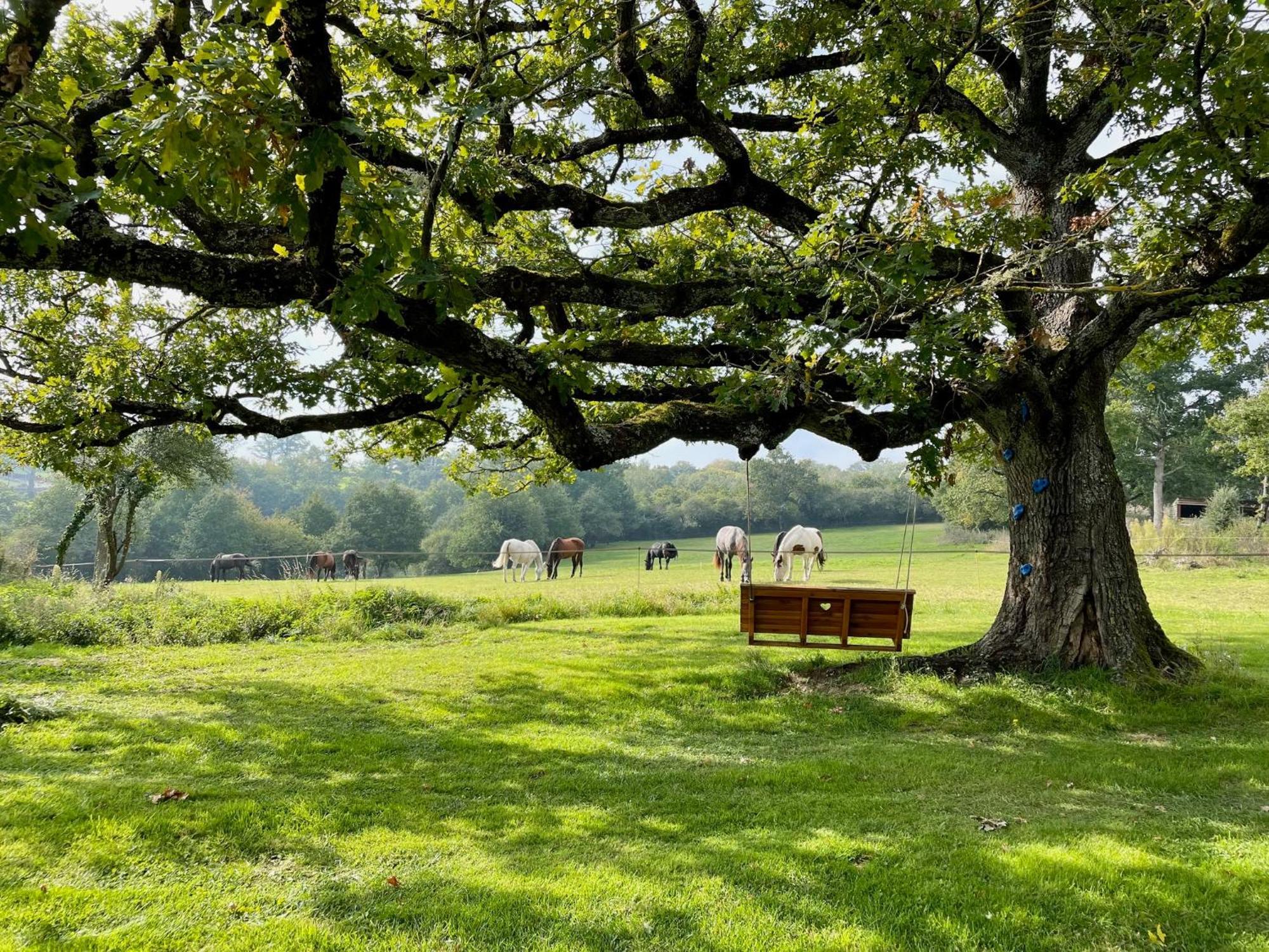Domaine Le Rianon Villa Malleret-Boussac Buitenkant foto