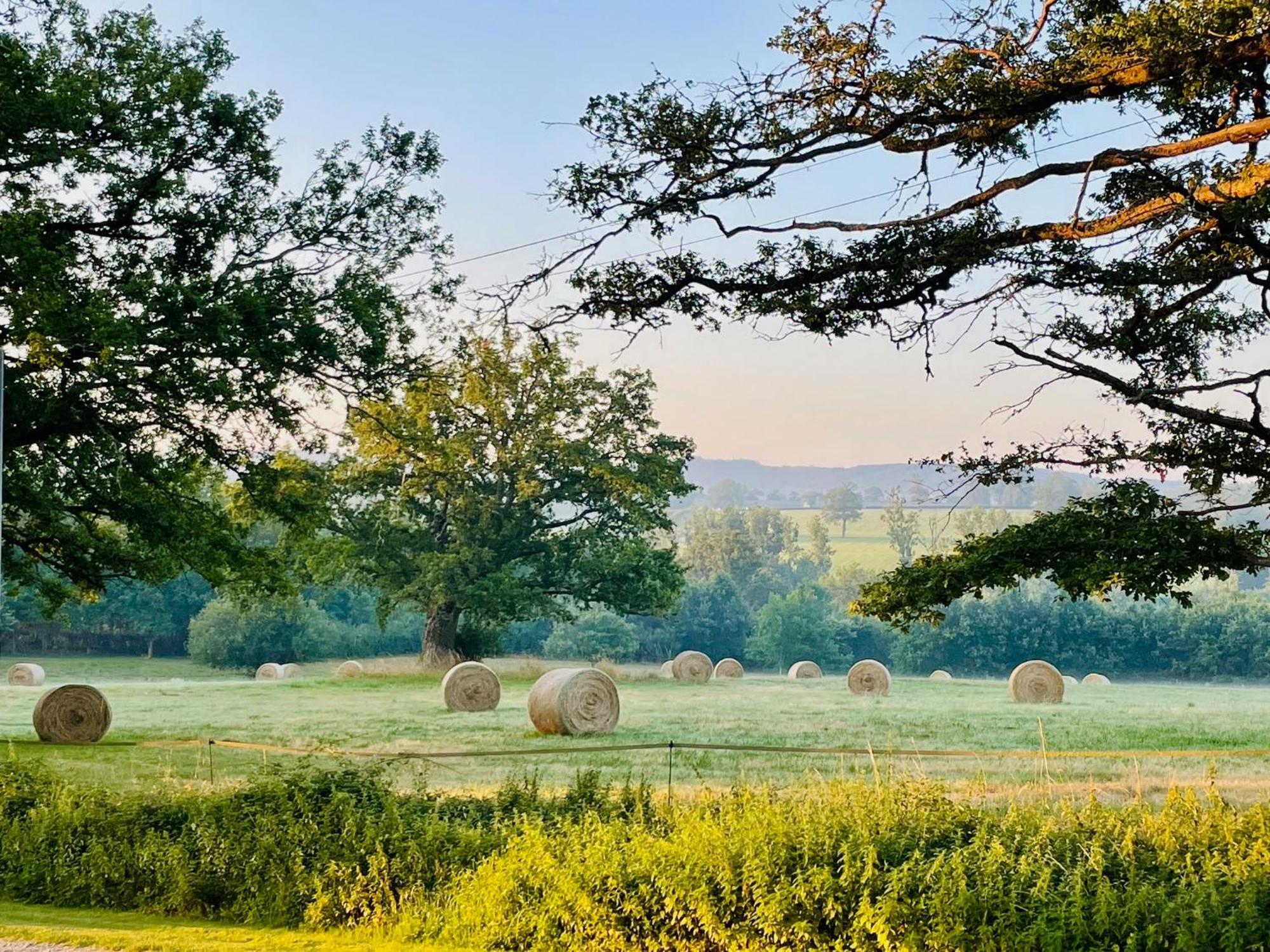 Domaine Le Rianon Villa Malleret-Boussac Buitenkant foto
