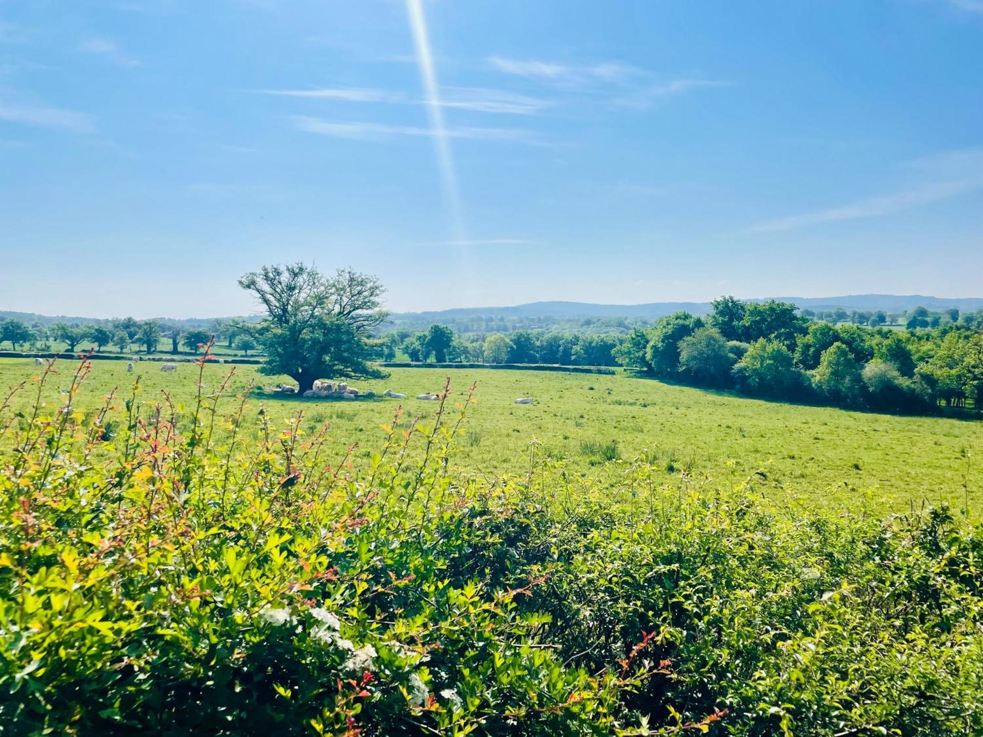 Domaine Le Rianon Villa Malleret-Boussac Buitenkant foto
